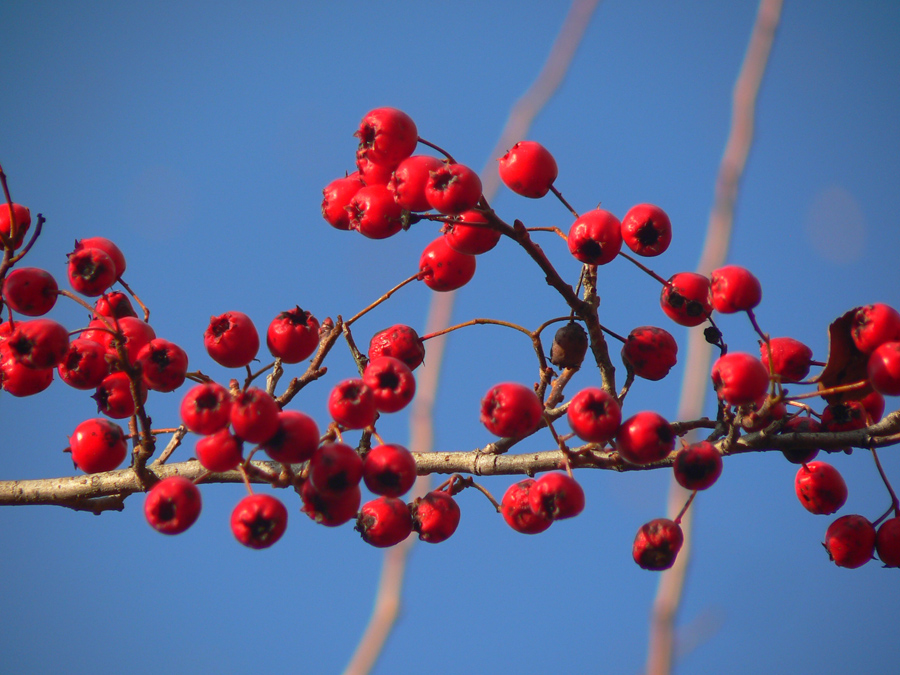 kolecko-okolo-vyhnianskej-doliny