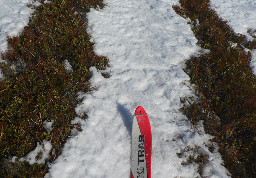 skialpaktual-nt-medzi-kosariskom-a-latiborskou-holou