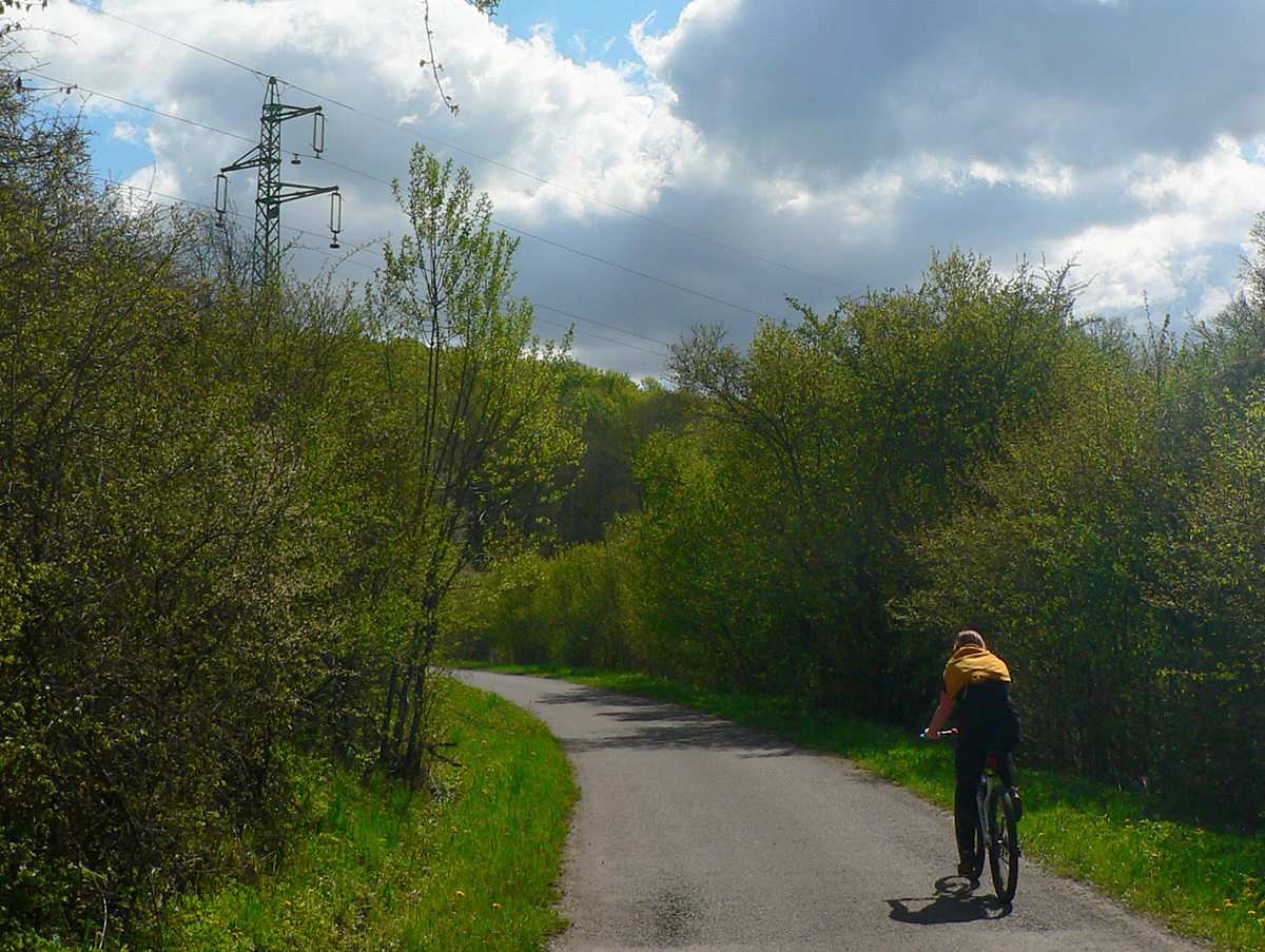 prievidzskym-lesoparkom-na-l�tyri-chotare