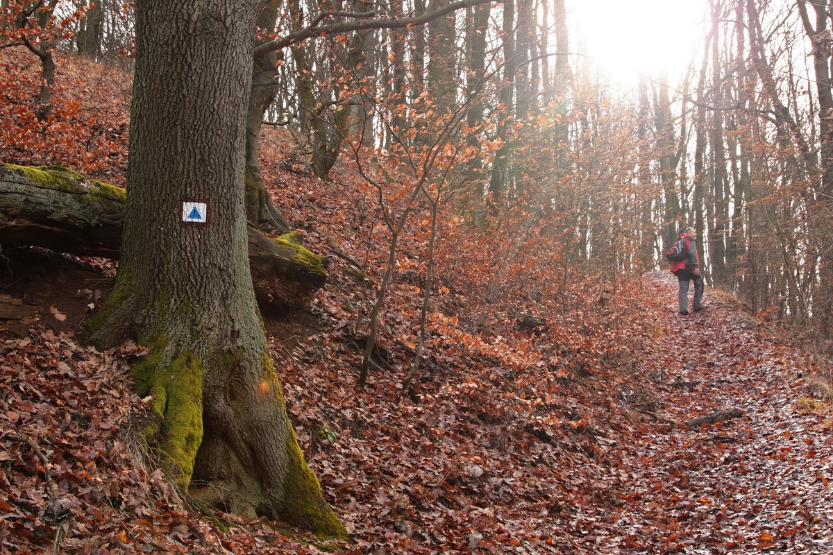 na-prieskume-u-susedov-nagy-ko-a-kis-ko-