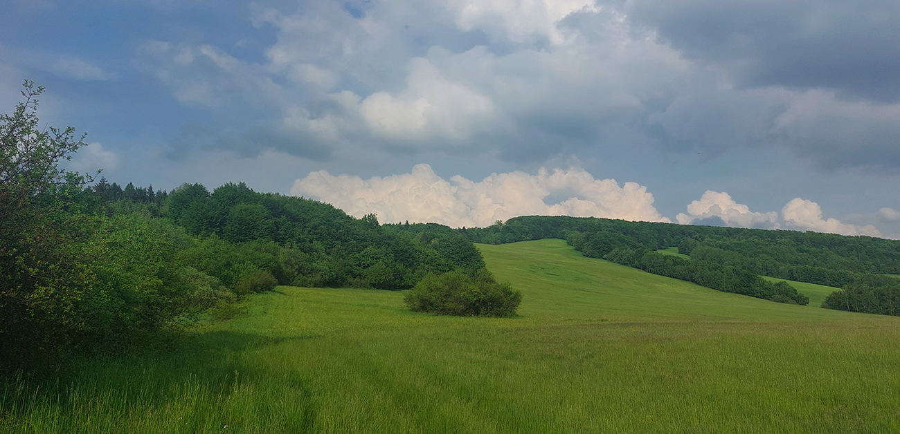 Za_cestou_vstupujem_na_rozľahlé_lúky,_cesta_nikde,_zapnuté_gps_sa_zíde.