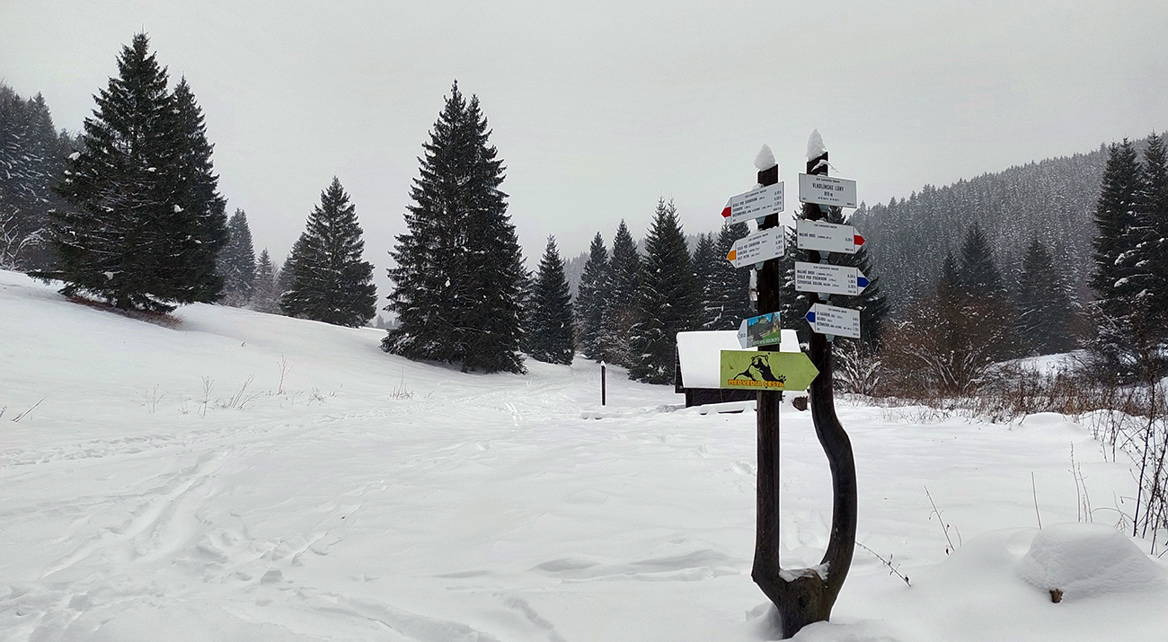 Na_Vlkolínskych_lúkach:_jediné_farby_(okrem_sivej)_na_tých_tabuľkách_:-)