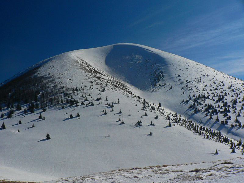 hrebenovka-krivanskej-fatry-na-pasoch